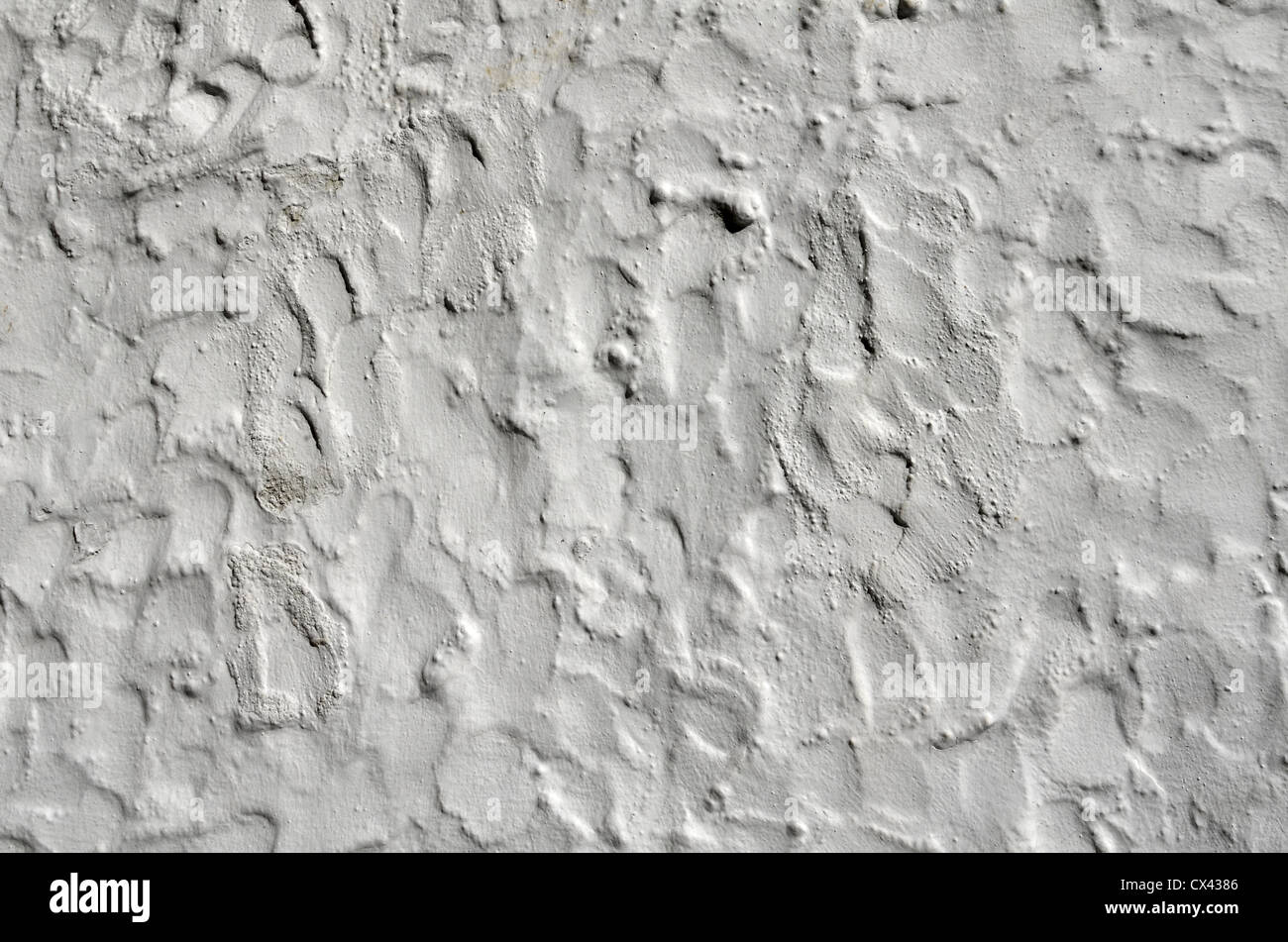 Painted rendered wall in midCornwall. Rough whitewashed wall, blank