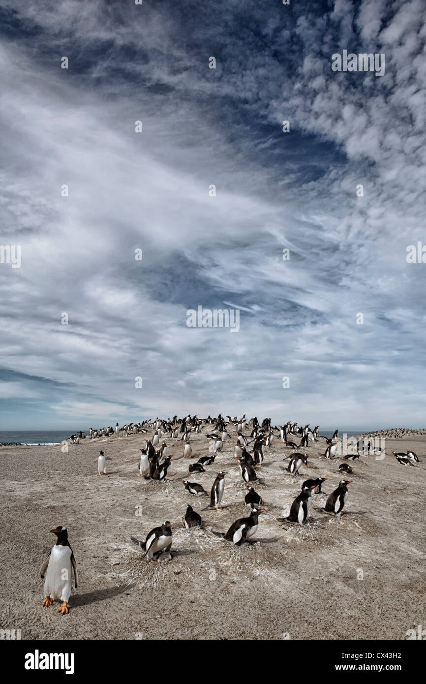 The Neck Saunders Island Stock Photo Alamy