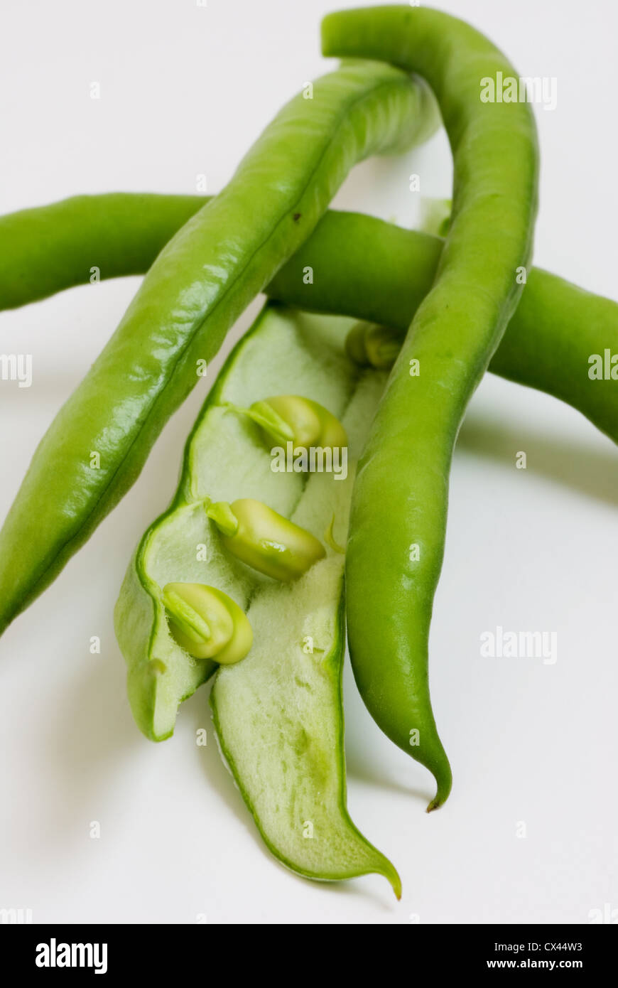 Green Broad Beans High Resolution Stock Photography and Images - Alamy