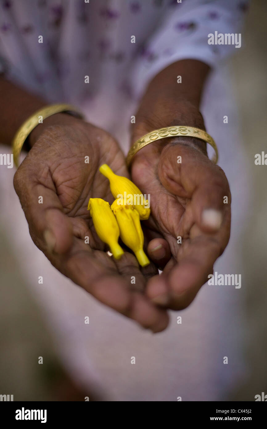 Tamil status videos Images • Hafeeshansha (@hthhlove) on ShareChat