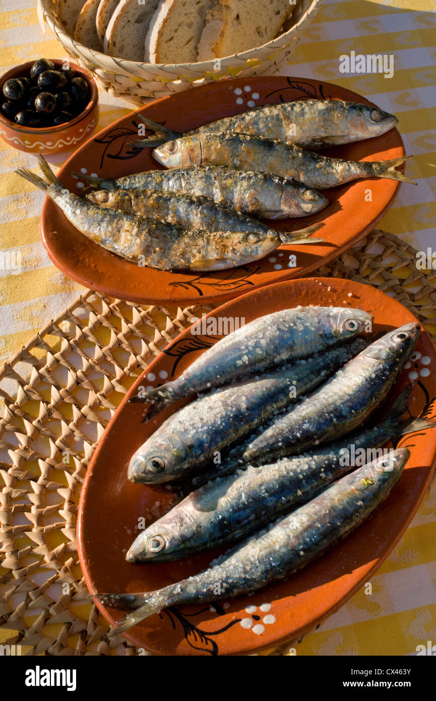 Portugal, sardines in the Algarve Stock Photo Alamy