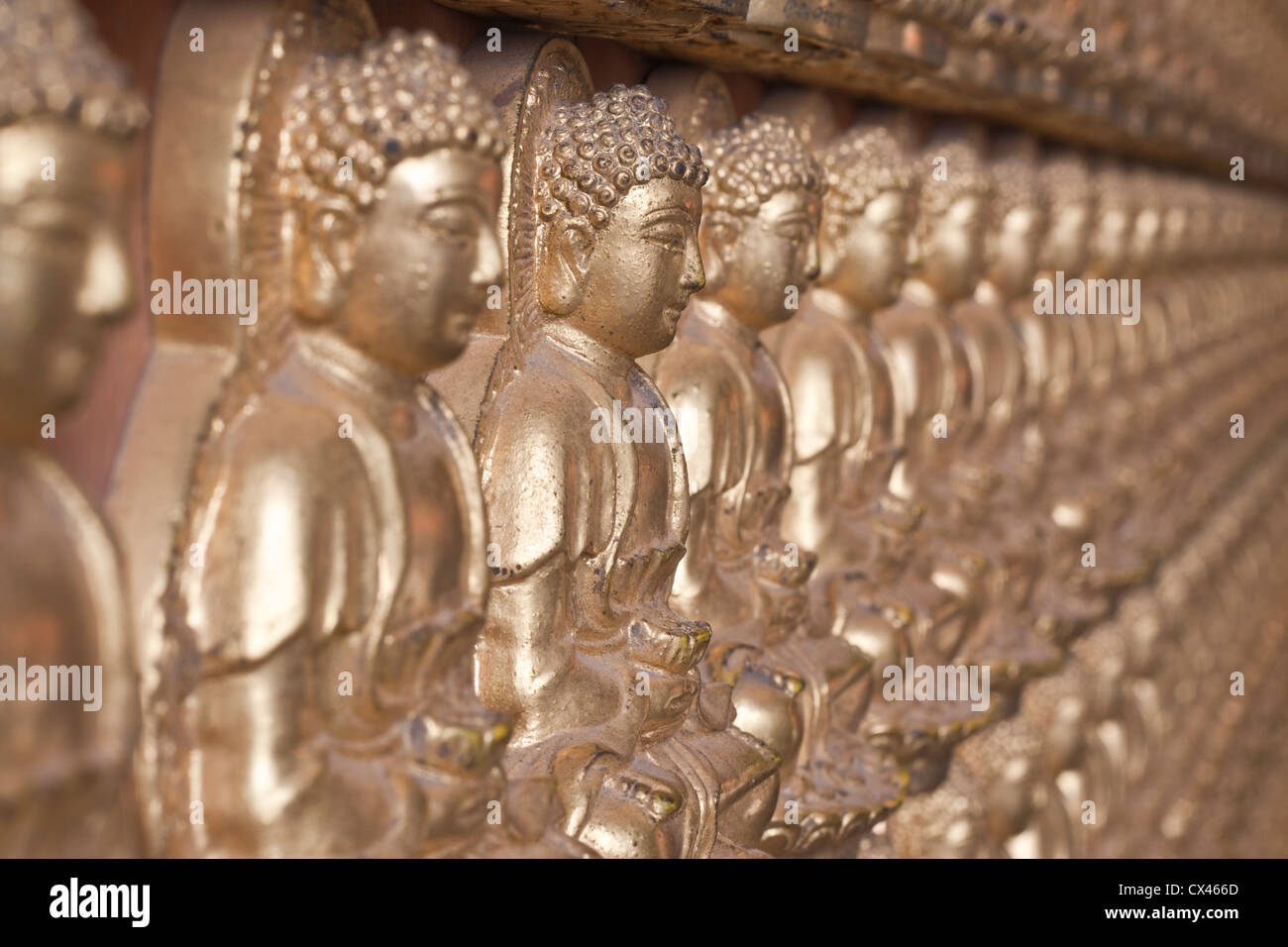 Buddha statue, Looking at the temple in Thailand. Stock Photo
