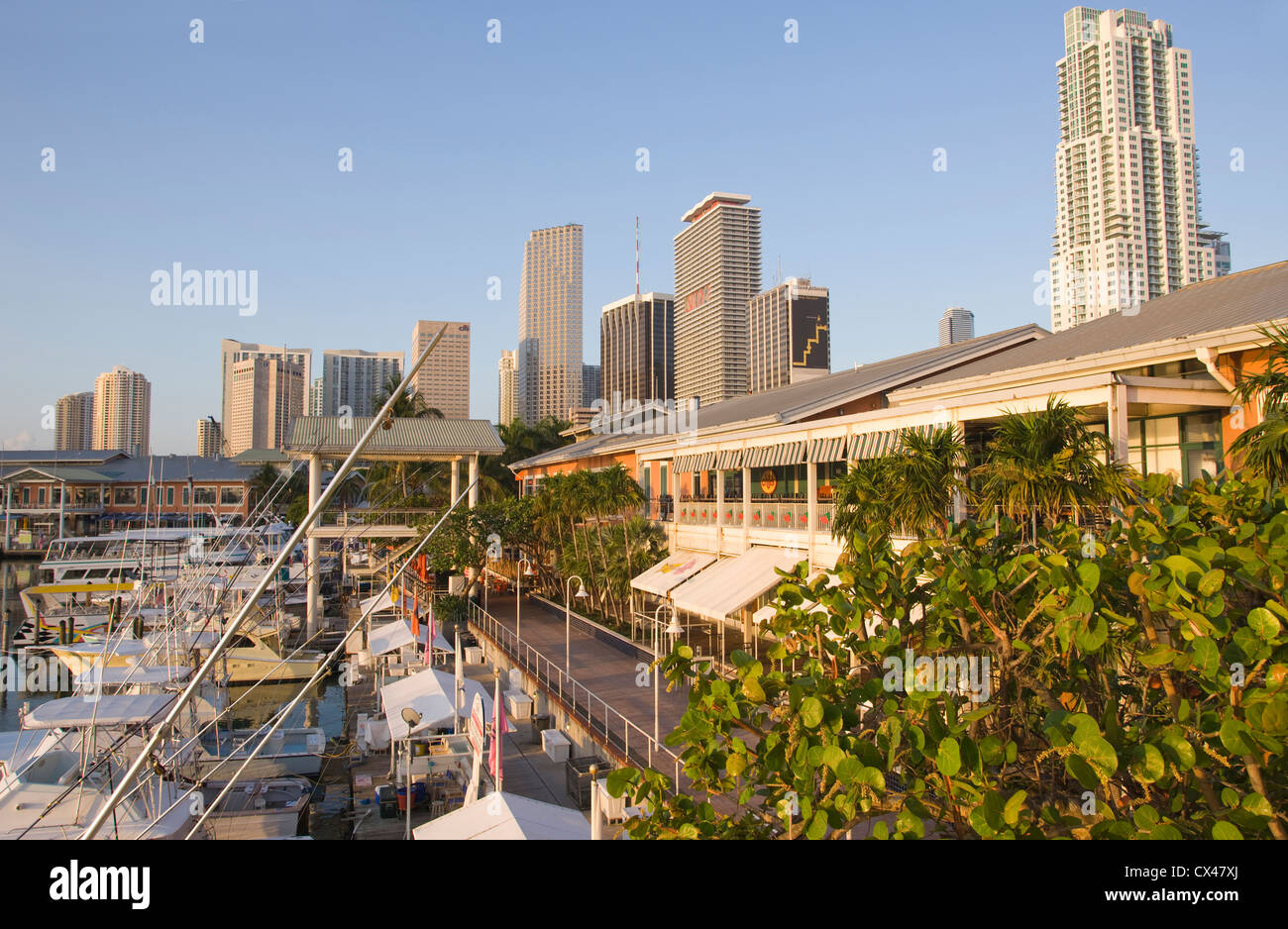 BAYSIDE MARKETPLACE MARINA DOWNTOWN SKYLINE MIAMI FLORIDA USA Stock Photo