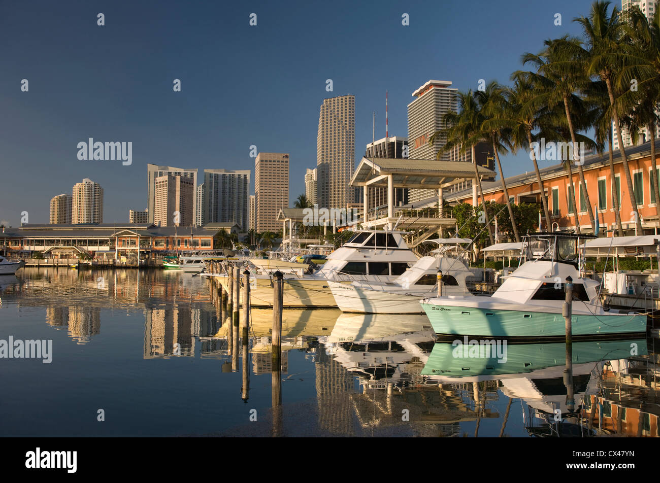 BAYSIDE MARKETPLACE MARINA DOWNTOWN SKYLINE MIAMI FLORIDA USA Stock ...