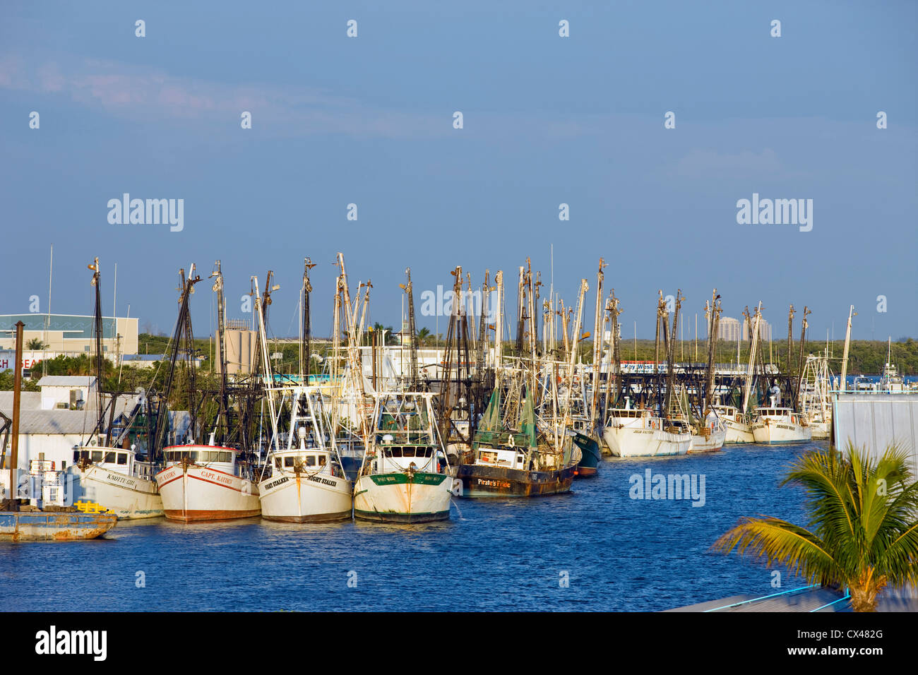 SHRIMP FISHING BOAT FLEET FISHERMANS WHARF INTERCOASTAL WATERWAY FORT