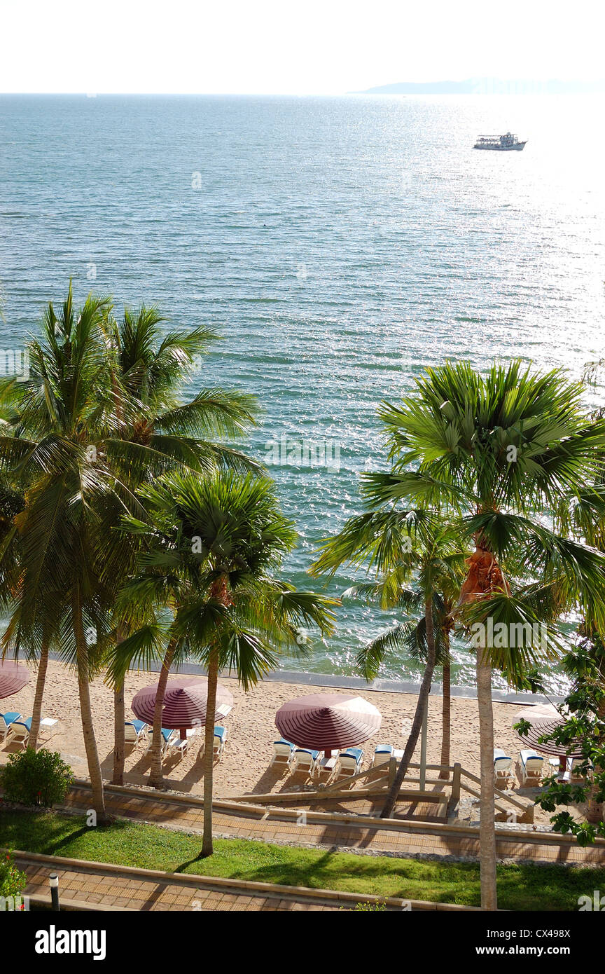 The palm trees at luxury hotel hi-res stock photography and images - Alamy