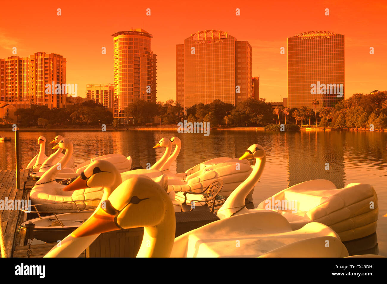 SWAN PADDLE BOATS DOWNTOWN SKYLINE LAKE EOLA PARK ORLANDO FLORIDA USA