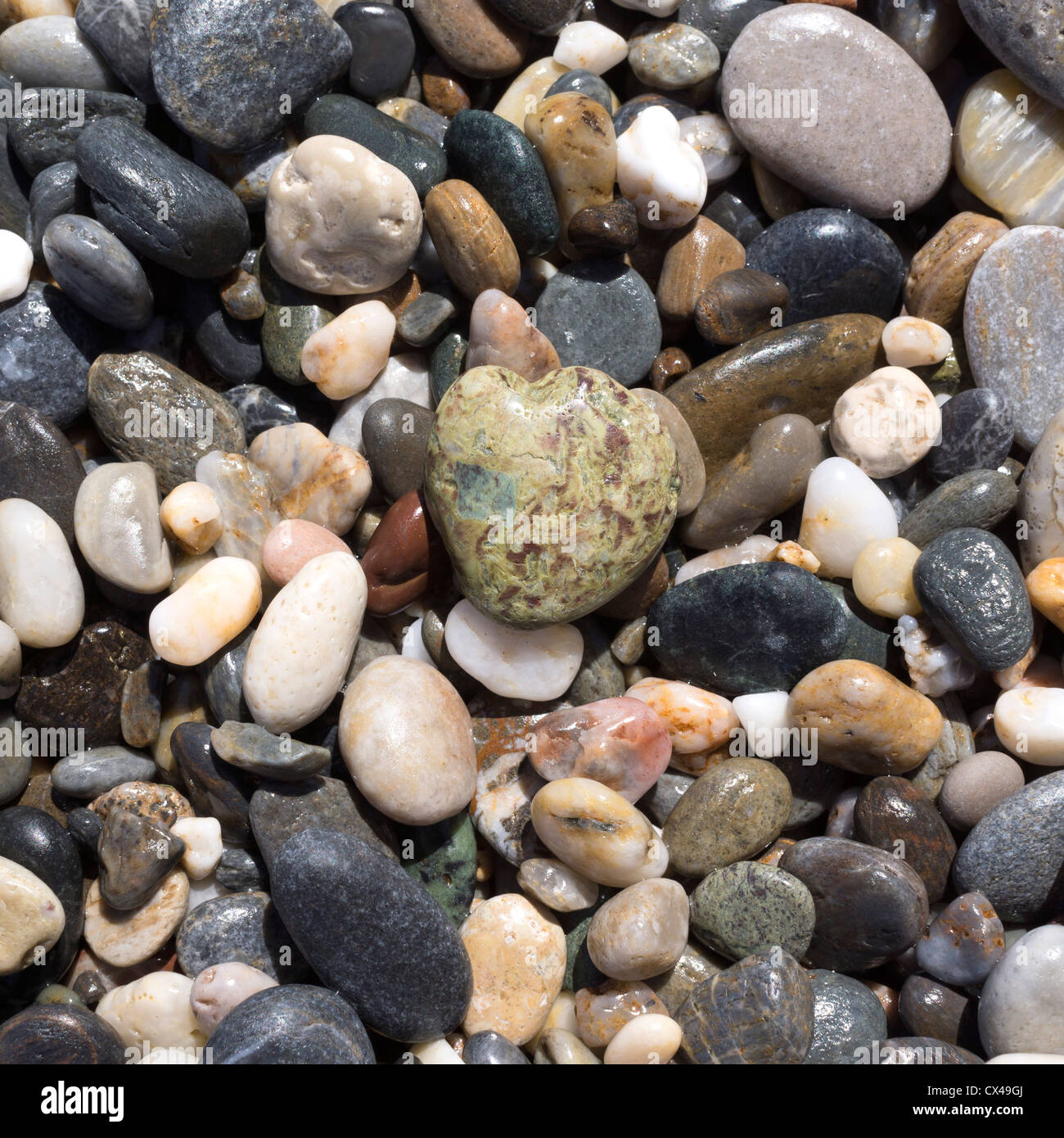 Wet pebbles on the beach hi-res stock photography and images - Alamy