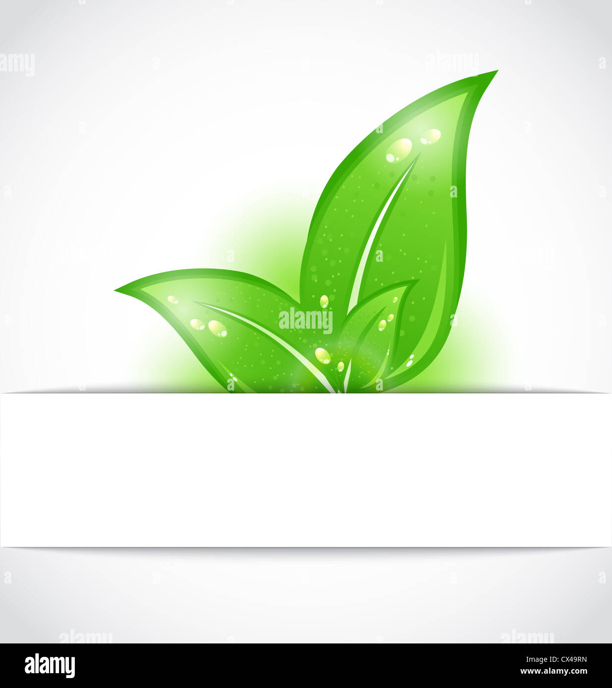 Illustration eco friendly background with green leaves - vector Stock ...