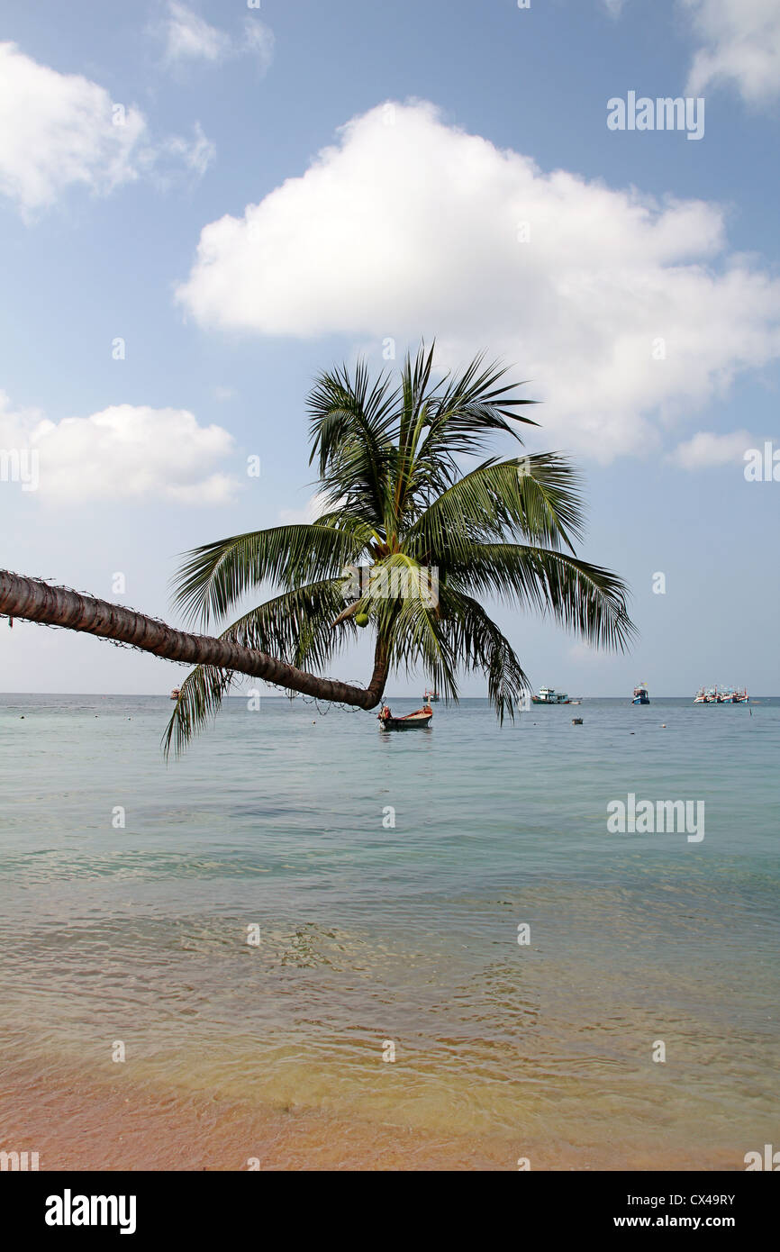 Palm bay beach hi-res stock photography and images - Alamy