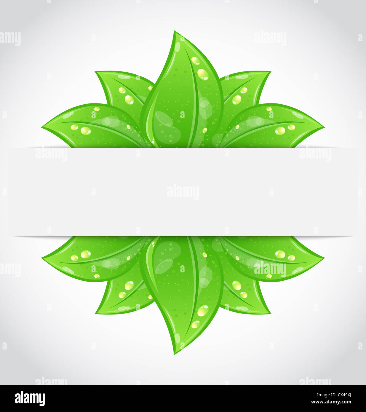 Illustration eco friendly background with green leaves - vector Stock ...