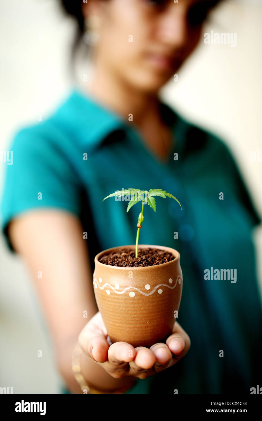 Closeup of woman holding a baby plant Stock Photo - Alamy