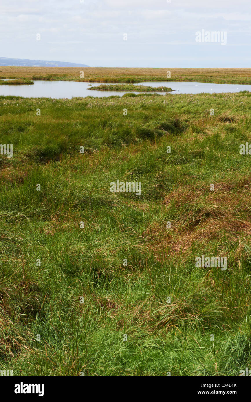 View across the marsh on the River Dee Estuary Parkgate Wirral Cheshire UK Stock Photo