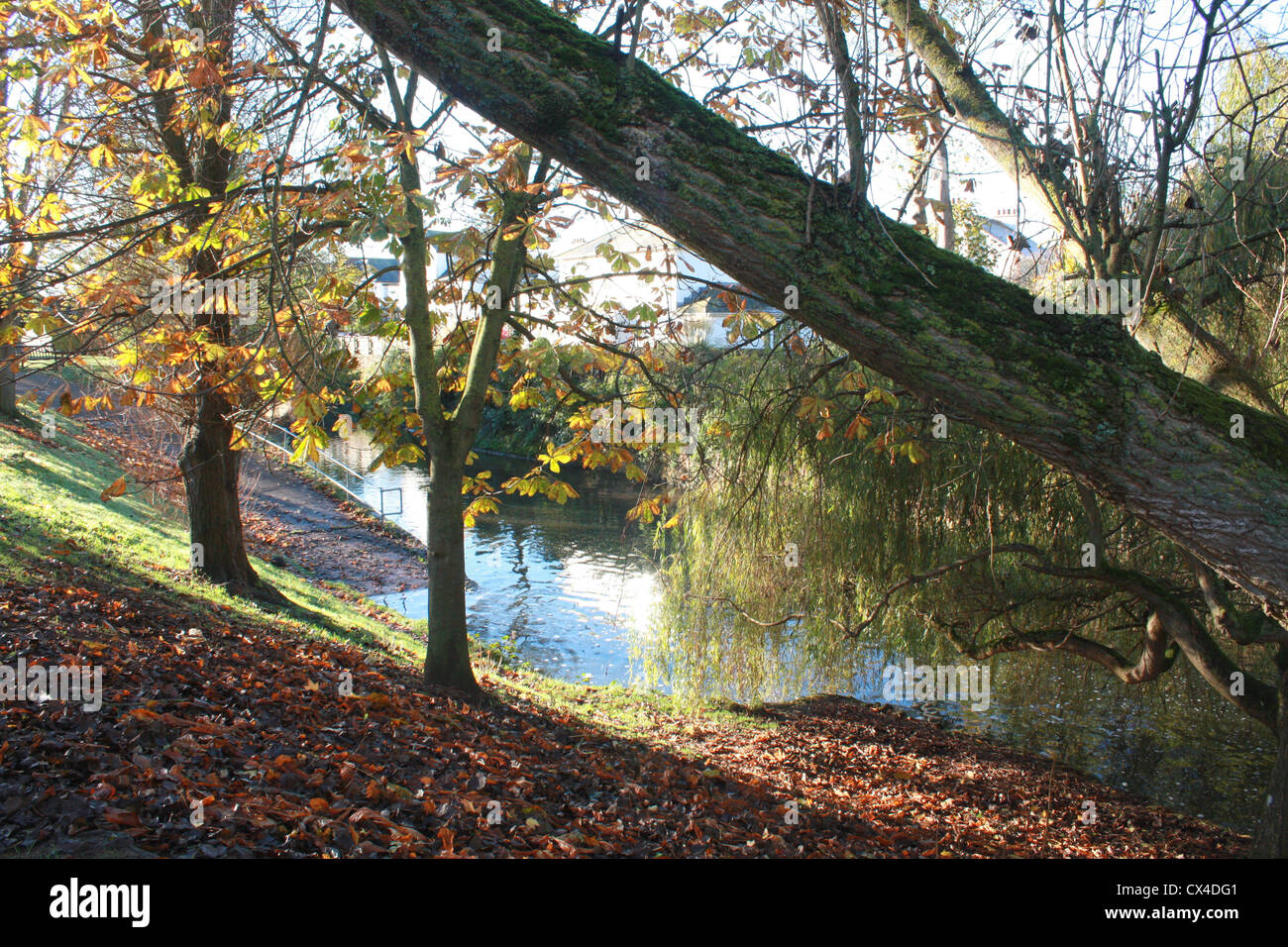 Autumn colours by the River Sid, Sidmouth, Devon UK Stock Photo - Alamy