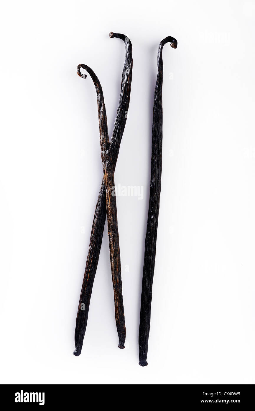 Vanilla on white background Stock Photo