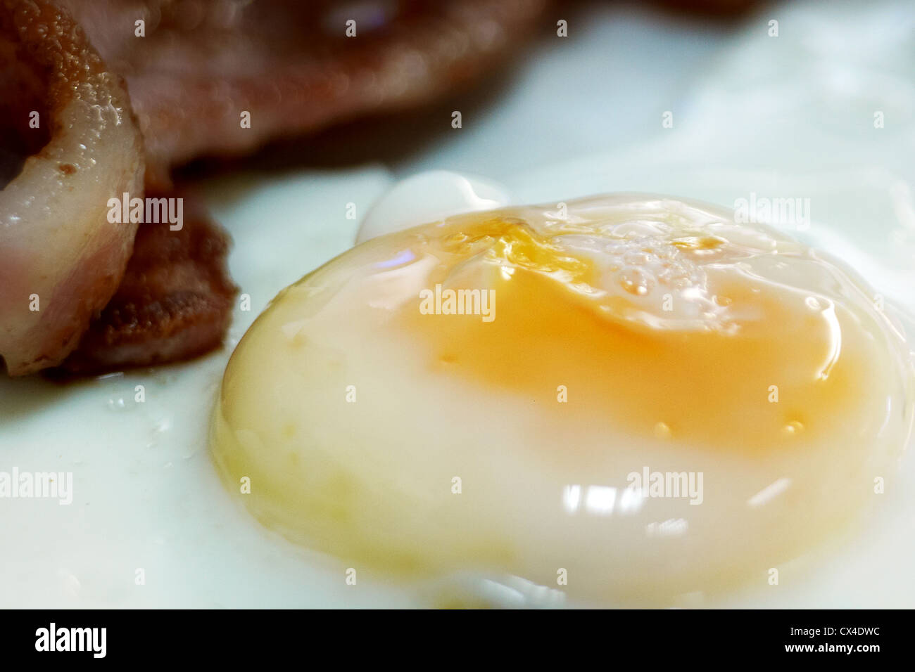 Close up of Egg and Bacon in a cafe Stock Photo