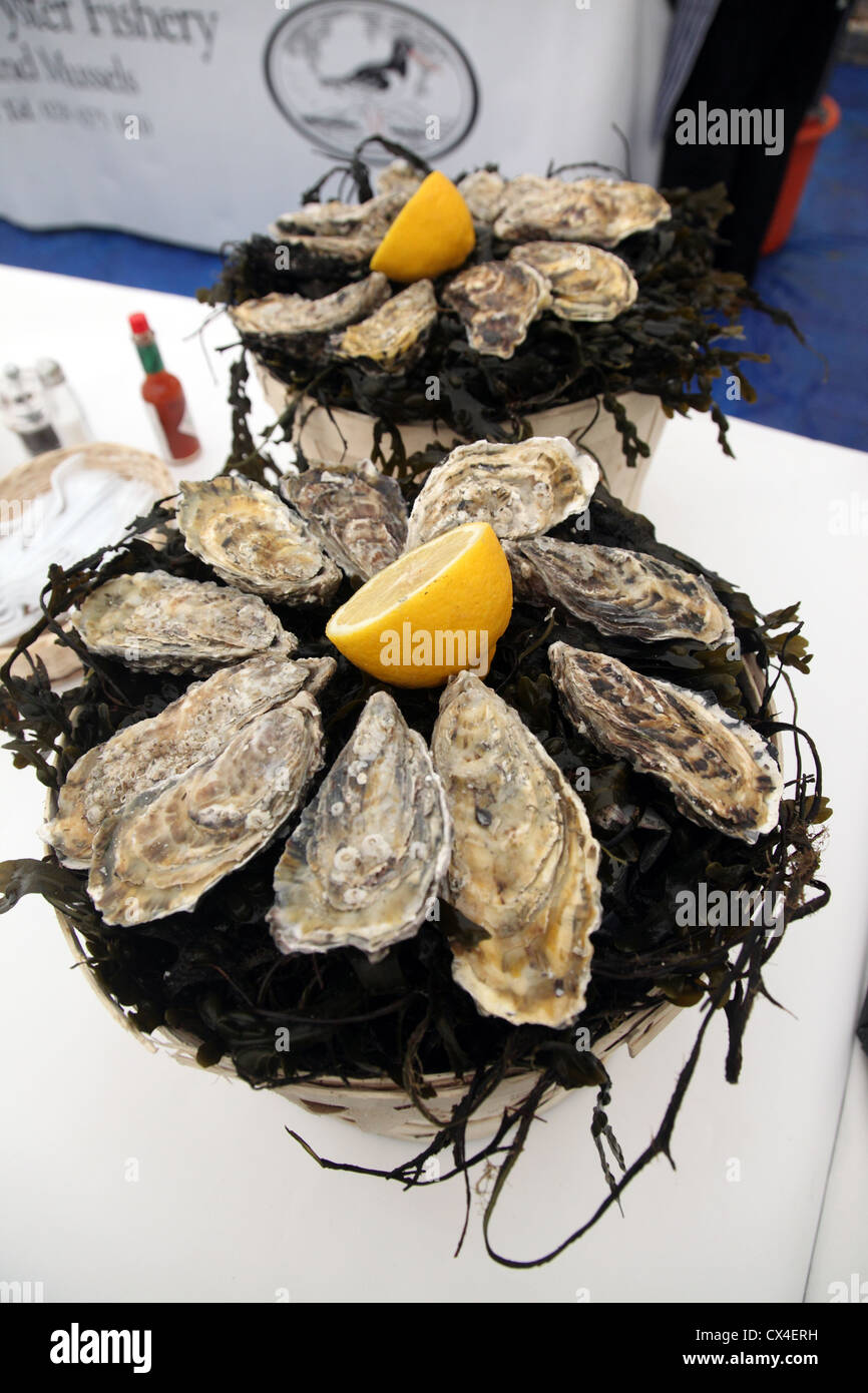 Dundrum Bay oysters on sale, Hillsborough Oyster Festival Stock Photo