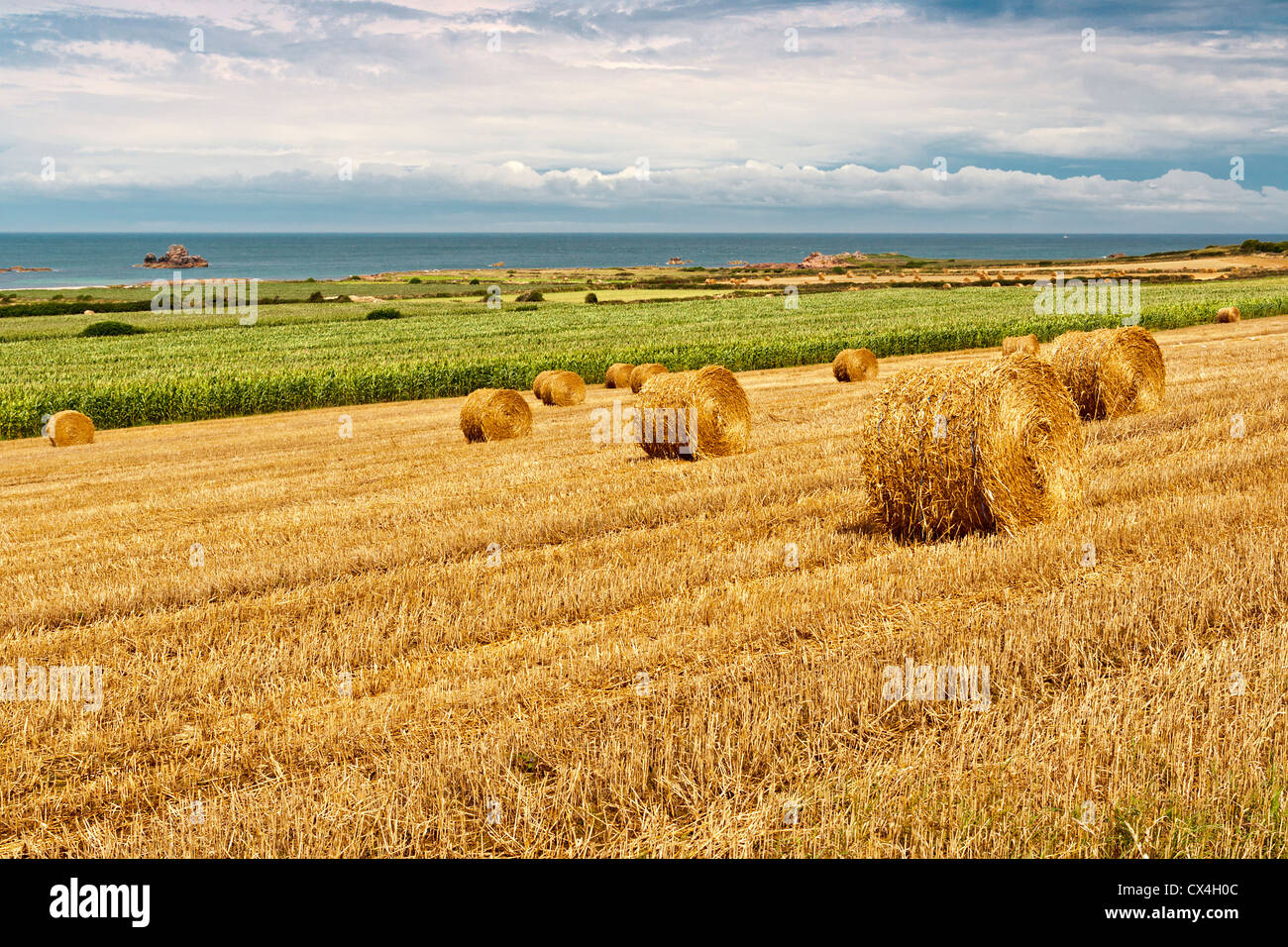 Corn straw bales hires stock photography and images Alamy