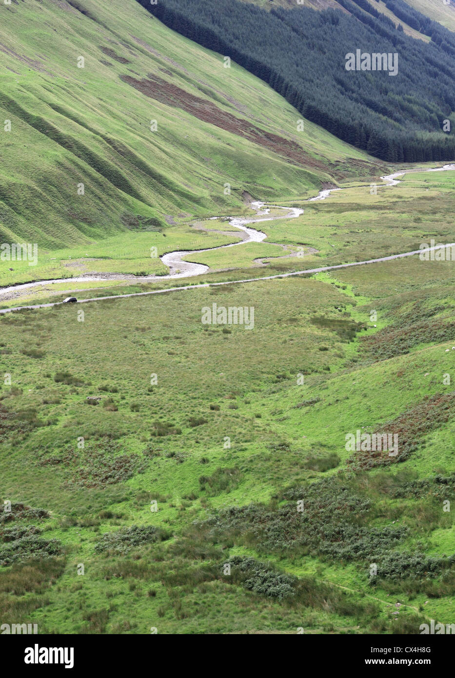 Moffat Dale Glen with Moffat Water, Dumfries and Galloway, Scotland, UK Stock Photo