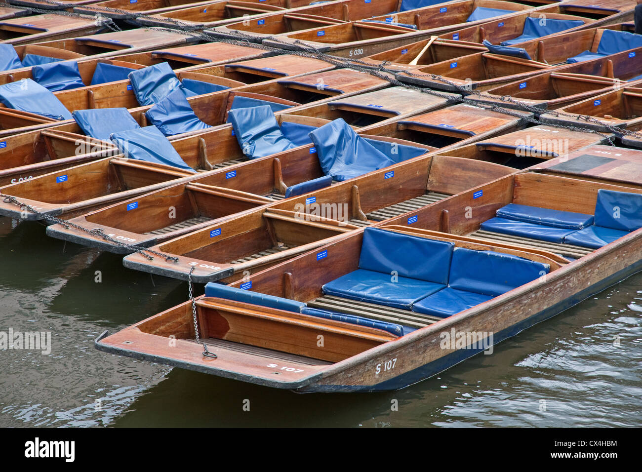 Punts moored on River Cam, Cambridge Stock Photo