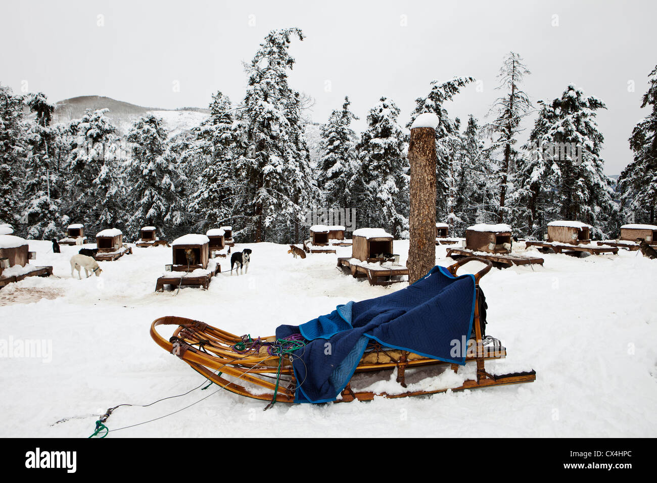 Sled With Dog Kennels Stock Photo - Alamy