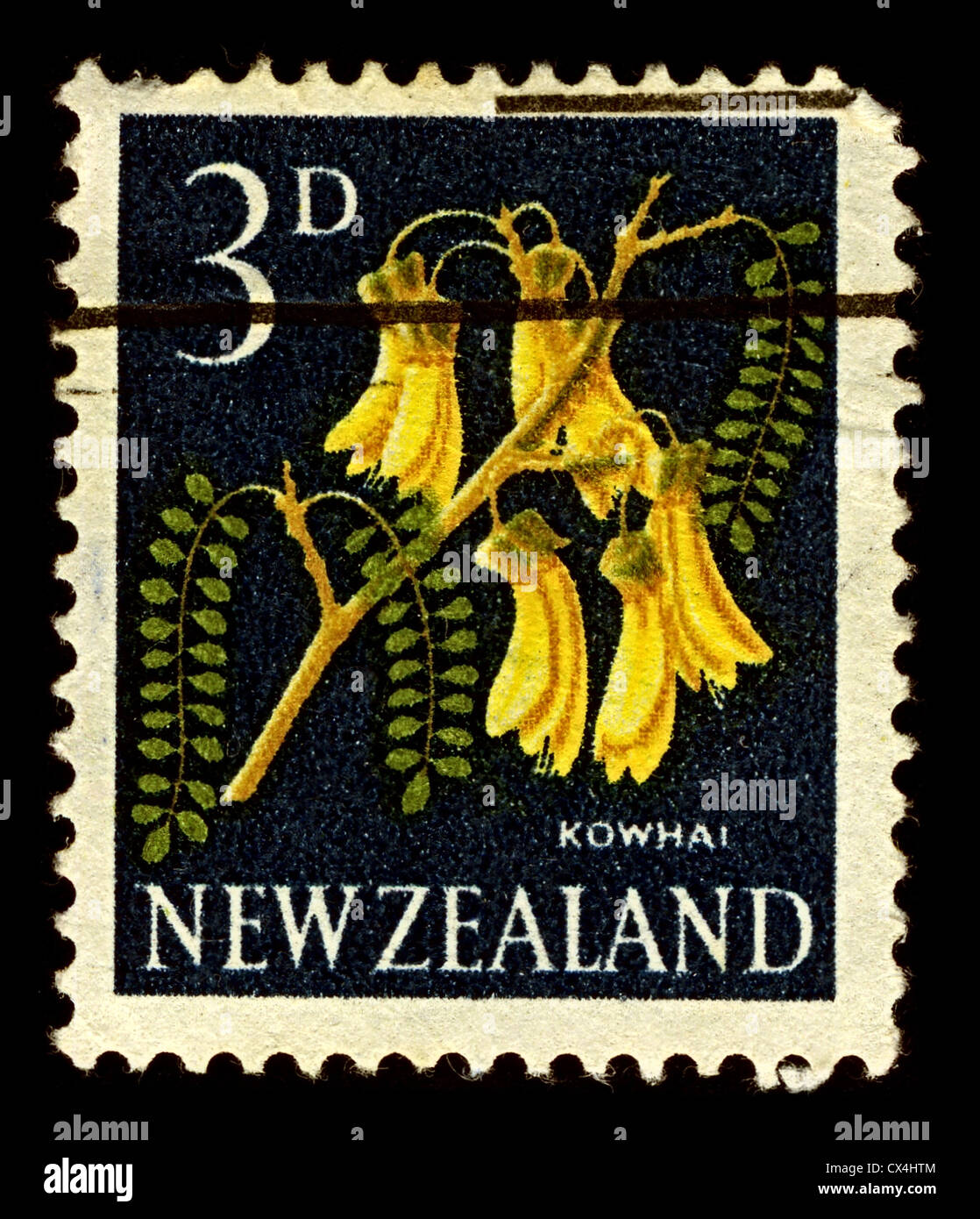 NEW ZEALAND-CIRCA 1960:A stamp printed in NEW ZEALAND shows image of Kowhai are small, woody legume trees in the genus Sophora. Stock Photo