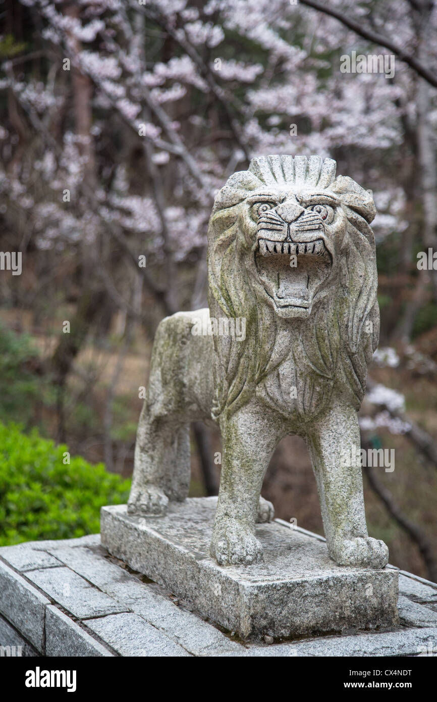An Asian style lion carved in stone in the cherry blossom covered mountains near Jinhae, South Korea. Stock Photo