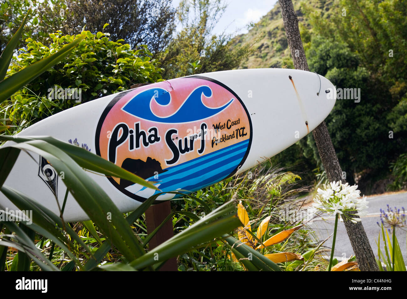 Auckland surfboards 2024
