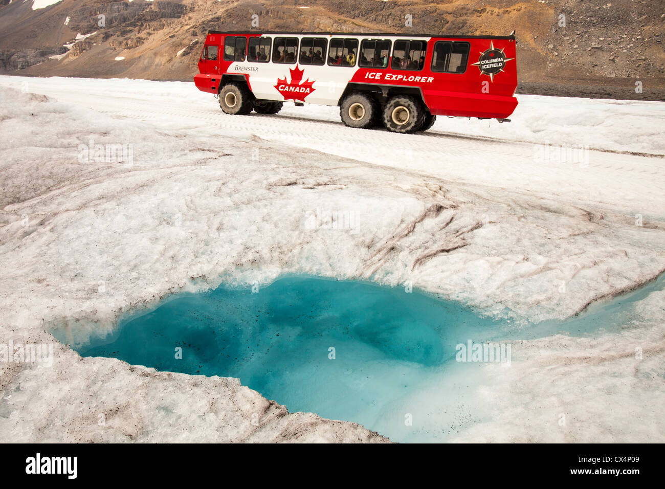 Tourist buggys on the Athabasca Glacier which has lost 60% of its mass, Canada. Stock Photo