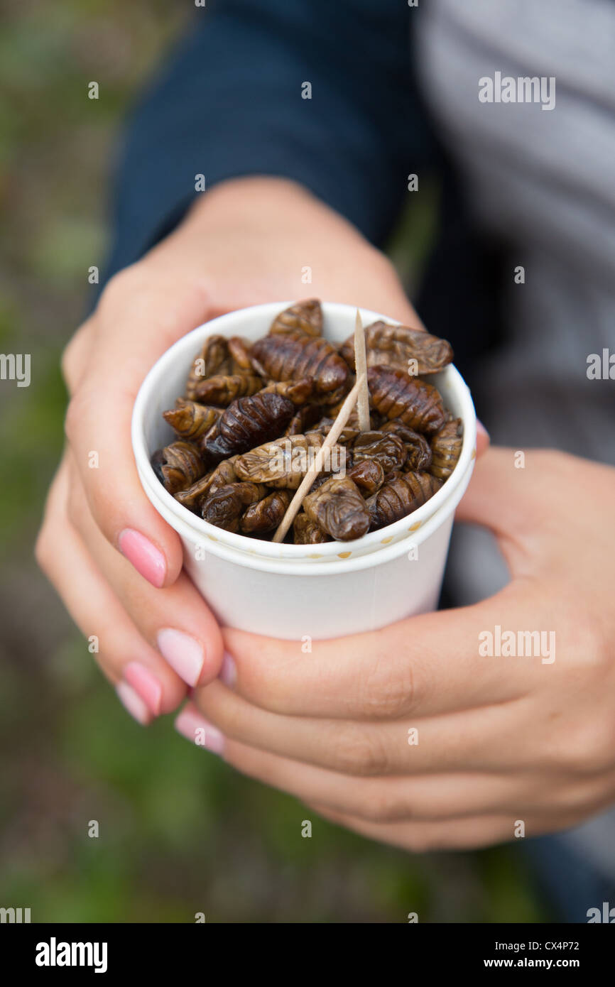 Steamed Silkworm snack food in South Korea Stock Photo