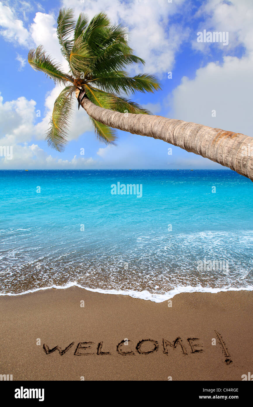 Brown beach sand with written word Welcome and tropical palm tree greeting Stock Photo