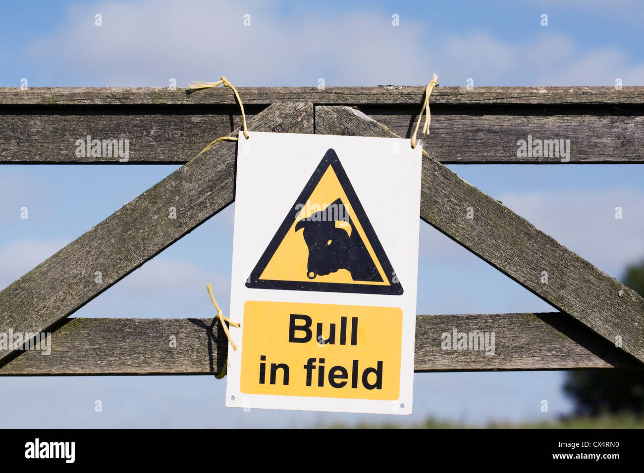 Bull in field warning sign on a wooden gate. Stock Photo