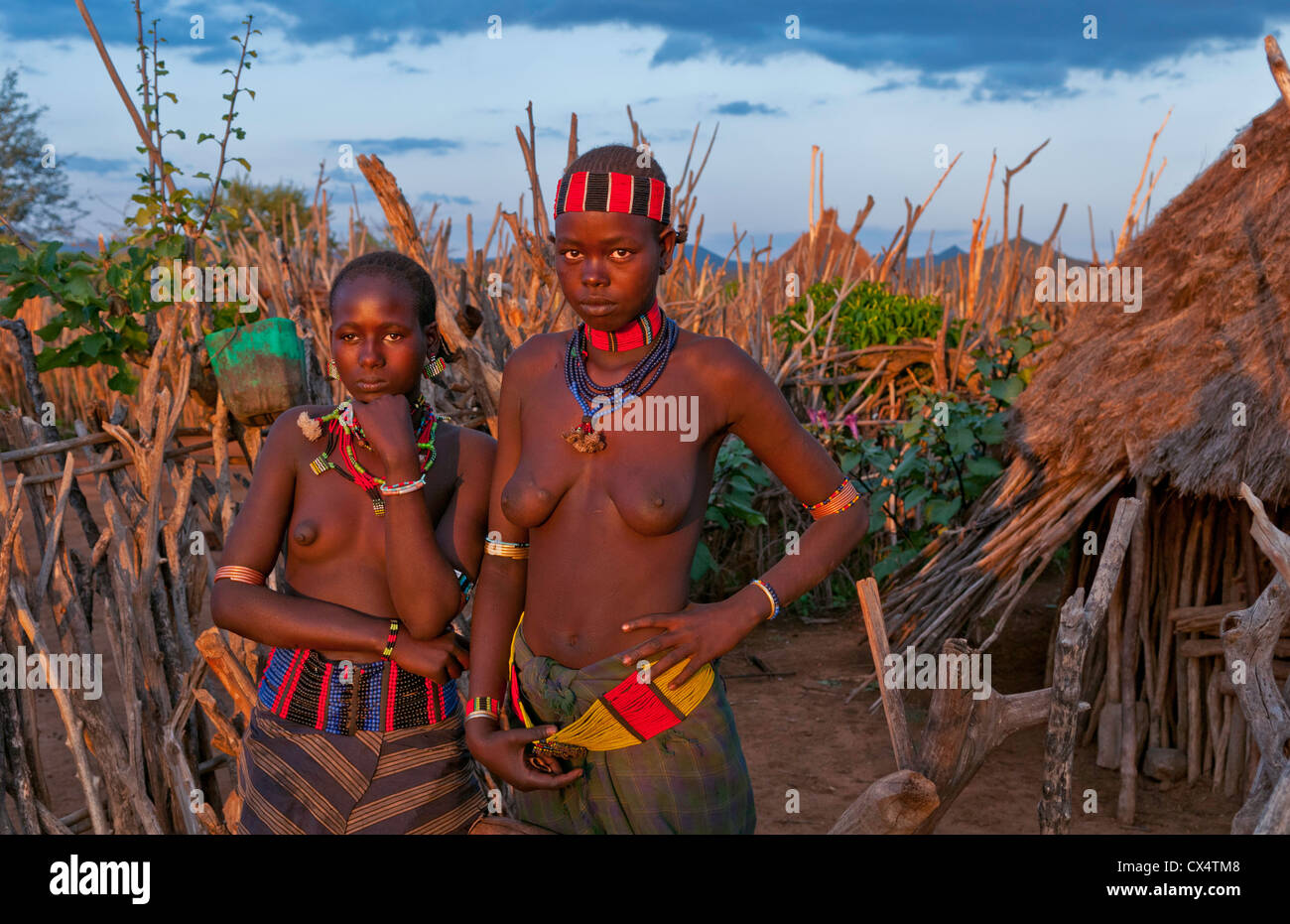 african tits 