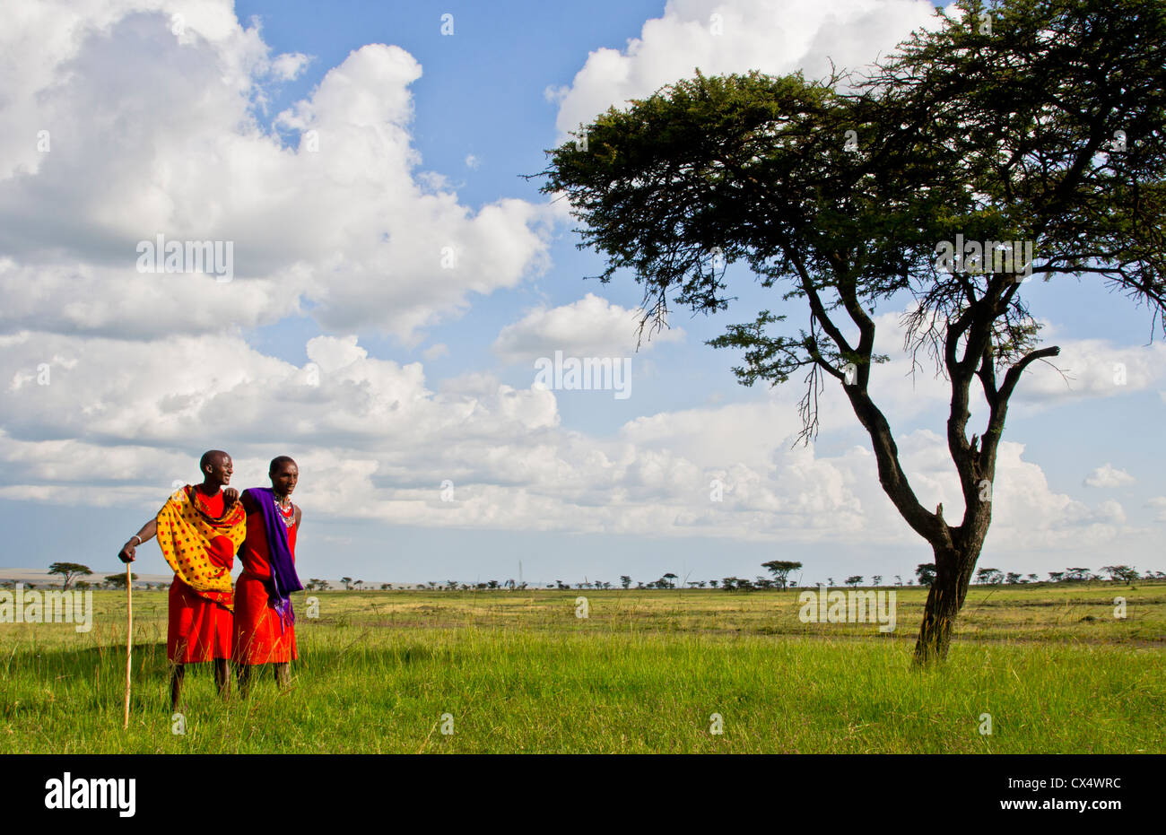Kenya Masai Mara reserve with space and two Masai warriors and acacia tree and clouds in Masai Mara National Park in reserve #8 Stock Photo