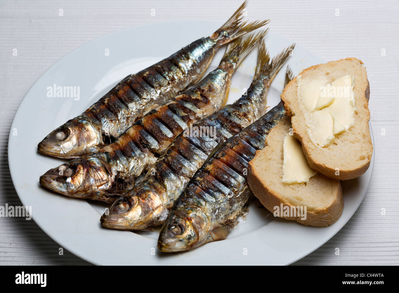 Grilled Sardines on a white plate Stock Photo Alamy