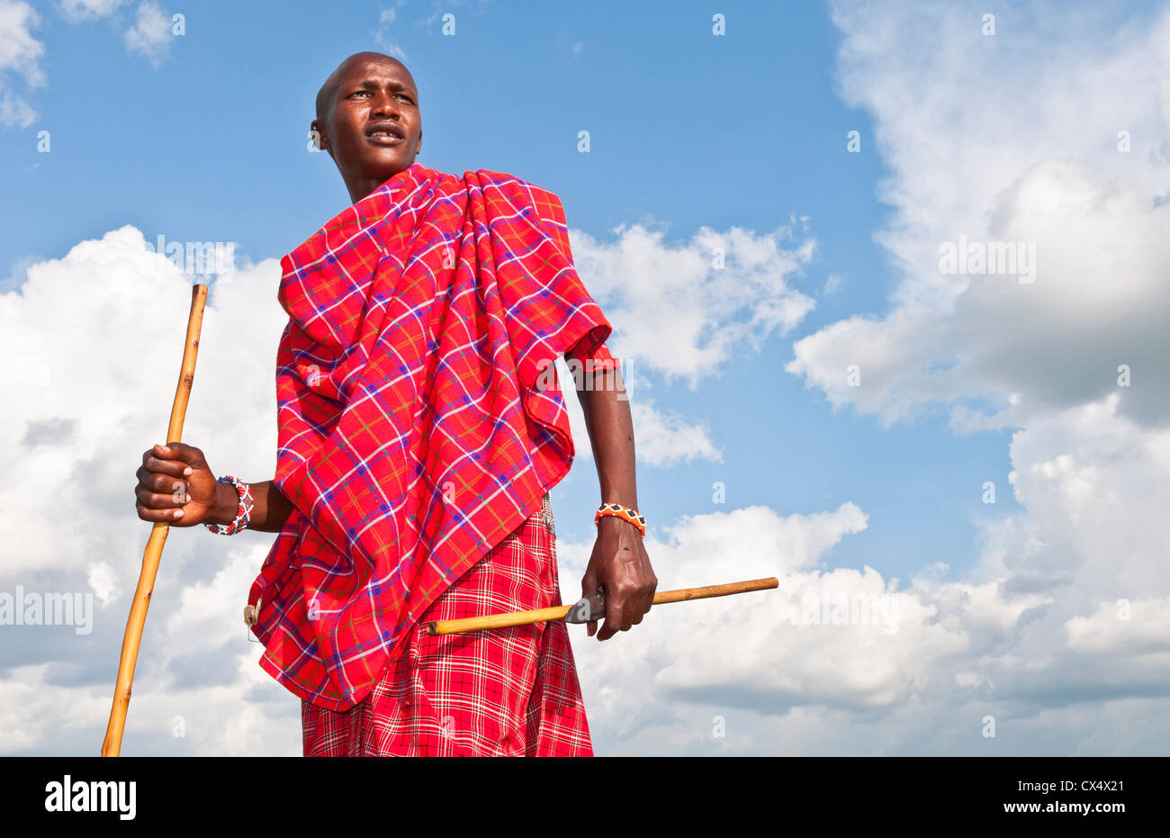  Brown, Blue, White Maasai Masai Shuka Shawl Sarong