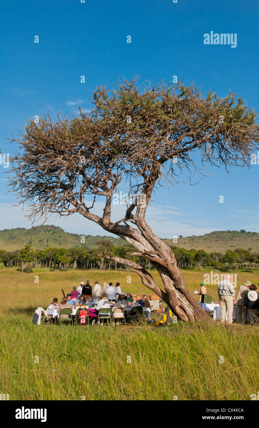 Kenya Masai Mara Africa reserve Champagne breakfast in jungle after hot air ballooning over the Masai Mara Stock Photo