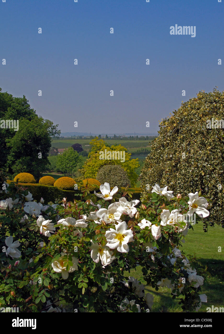 Mount ephraim gardens faversham hires stock photography and images Alamy