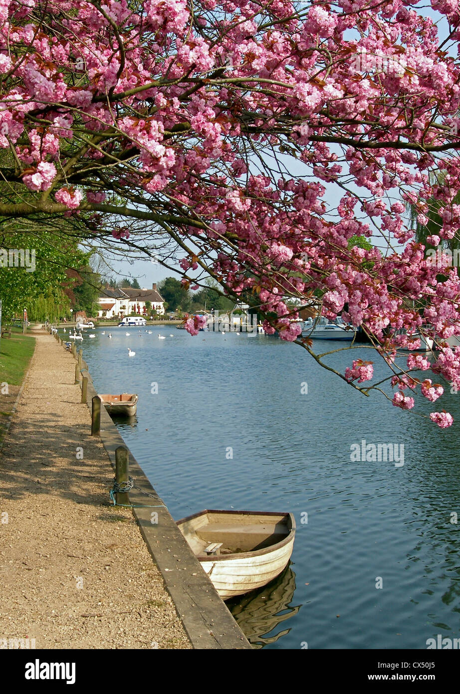 The Norfolk Broads/ River Yare at Thorpe St Andrew, Norwich, Norfolk, England Stock Photo