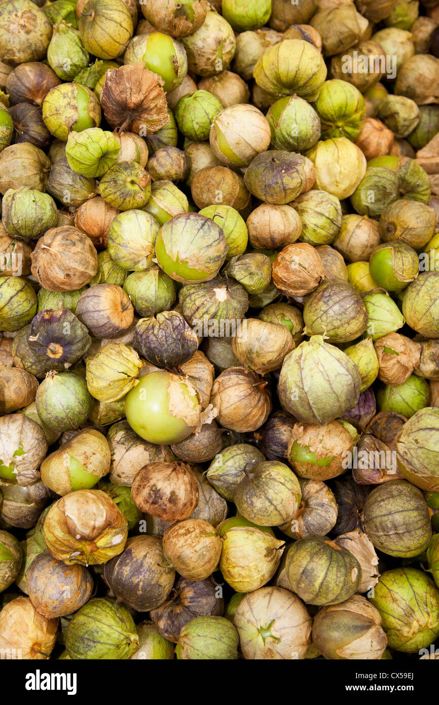 north-america-mexico-guanajuato-state-guanajuato-pile-of-tomatillos