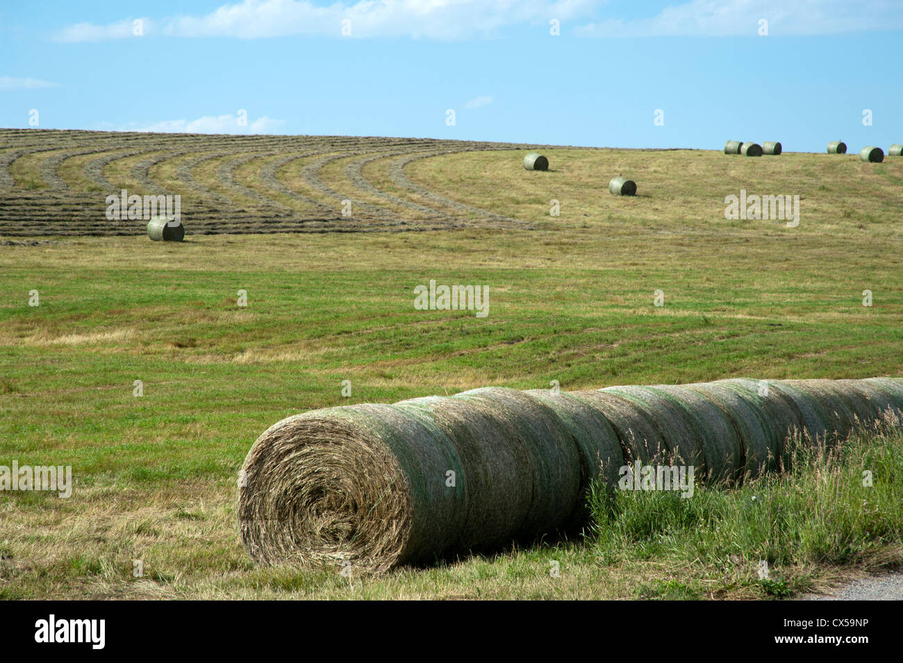 Bales of hay in Okanagan region of rural British Columbia, Canada Stock Photo