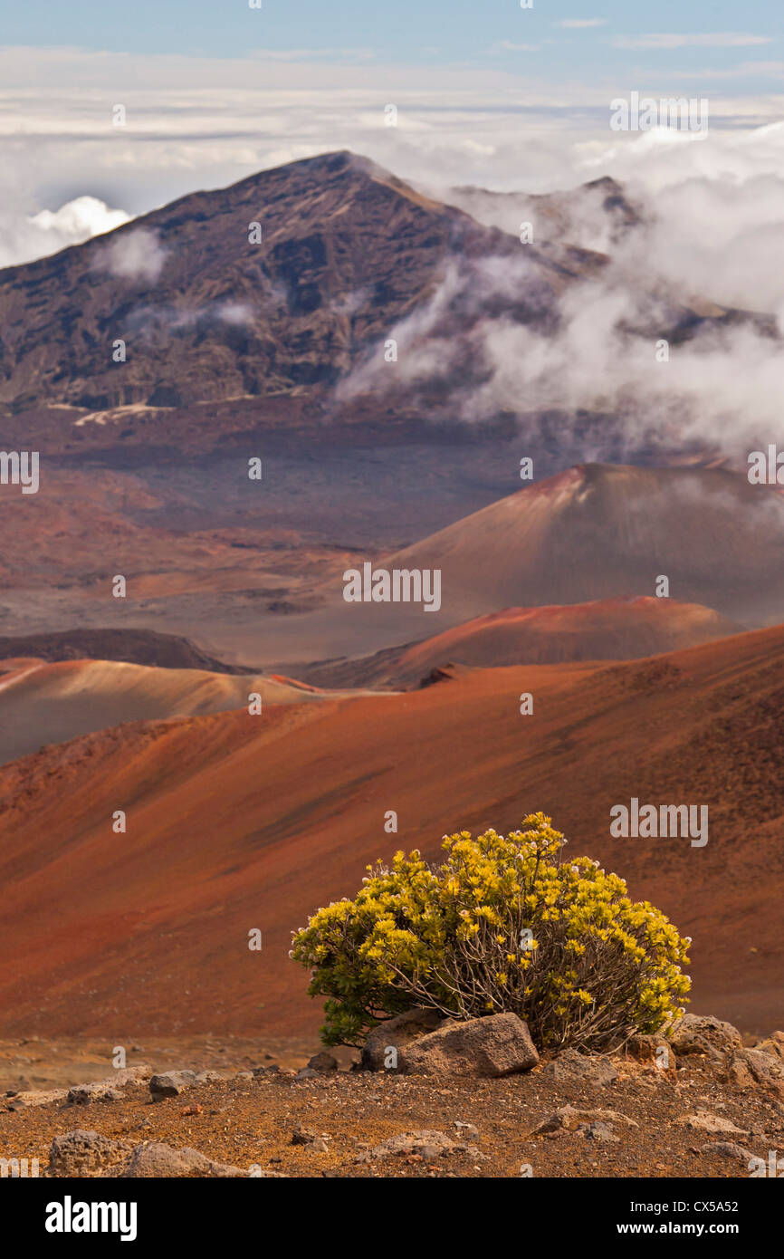 USA, Hawaii, Maui, Haleakala National Park. Scenic overview of mountain. Stock Photo