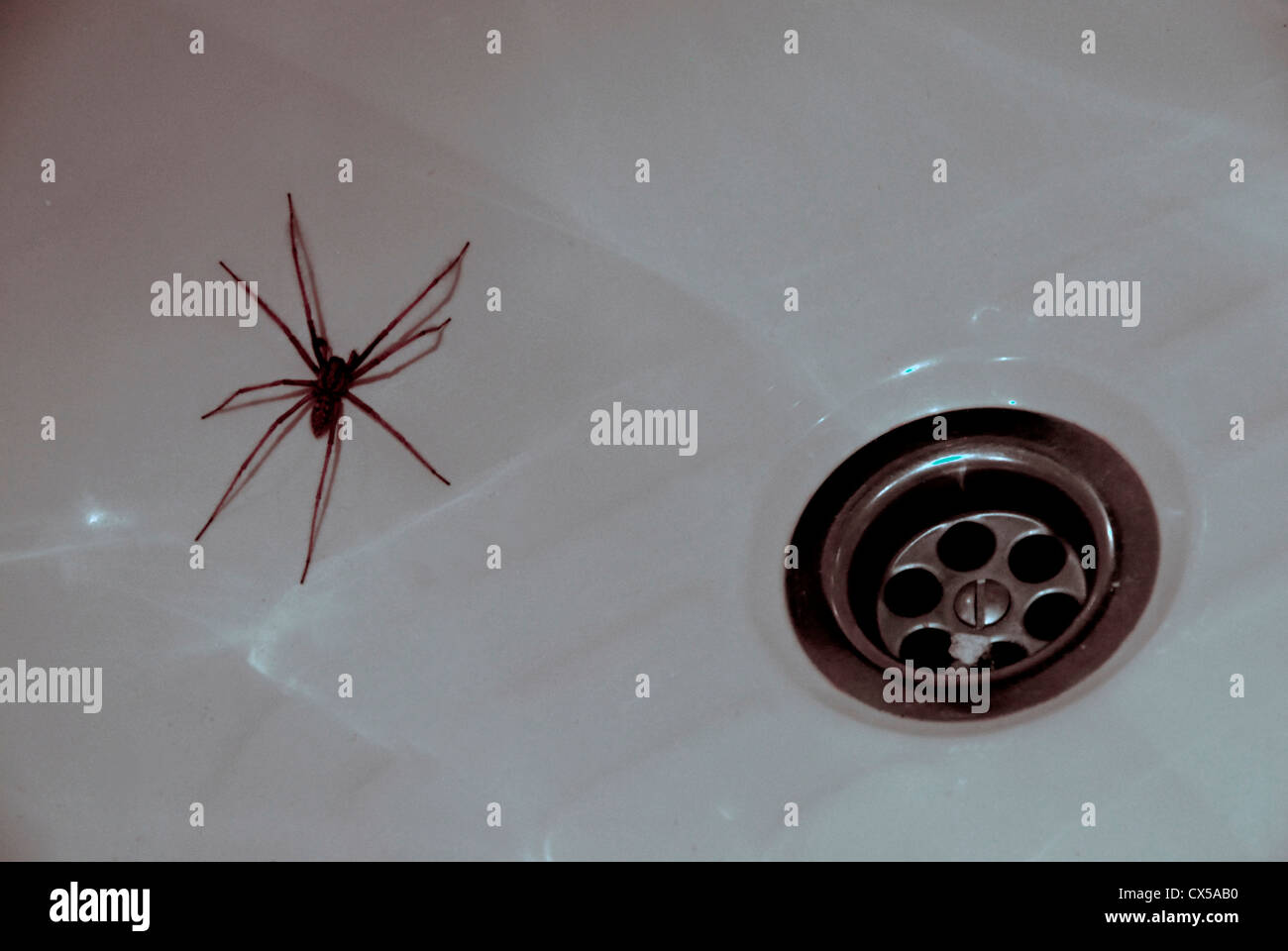 Psychological terror hires stock photography and images Alamy