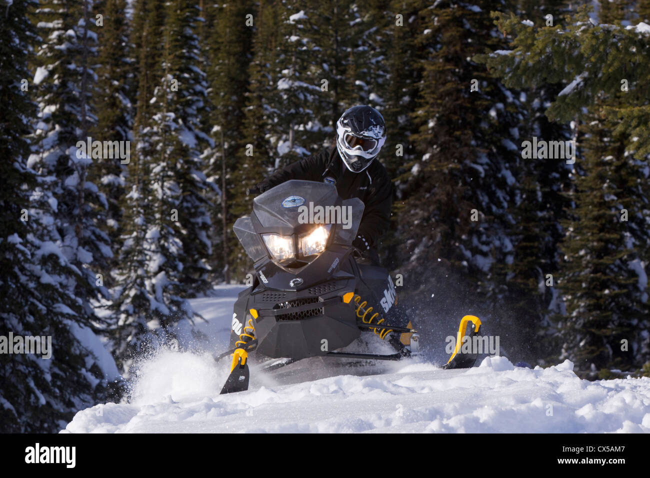 Snowmobiling on Desert Mountain in the Flathead National Forest, Montana, USA (MR) Stock Photo