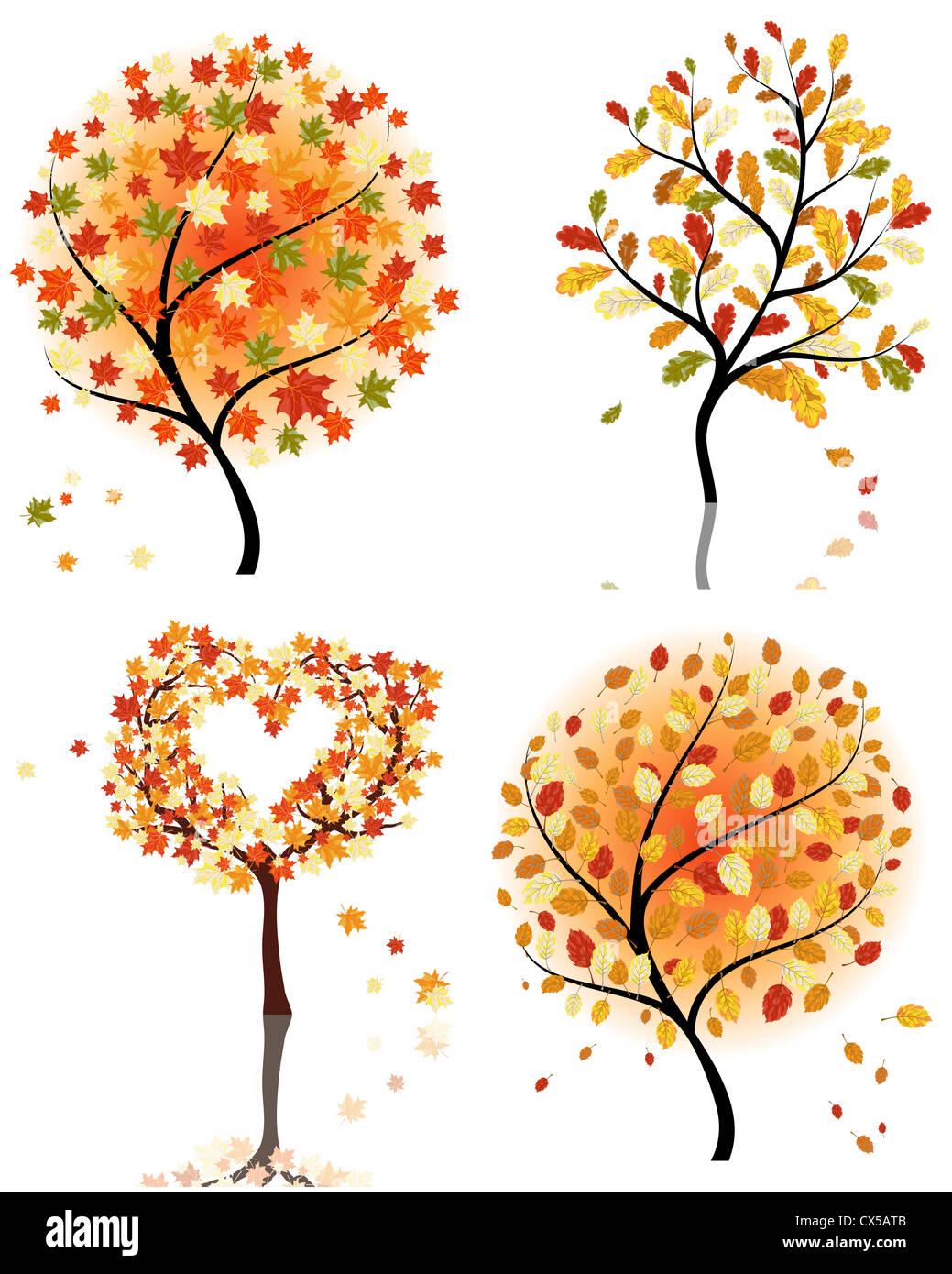 Set of four autumn tree. Vector illustration Stock Photo - Alamy