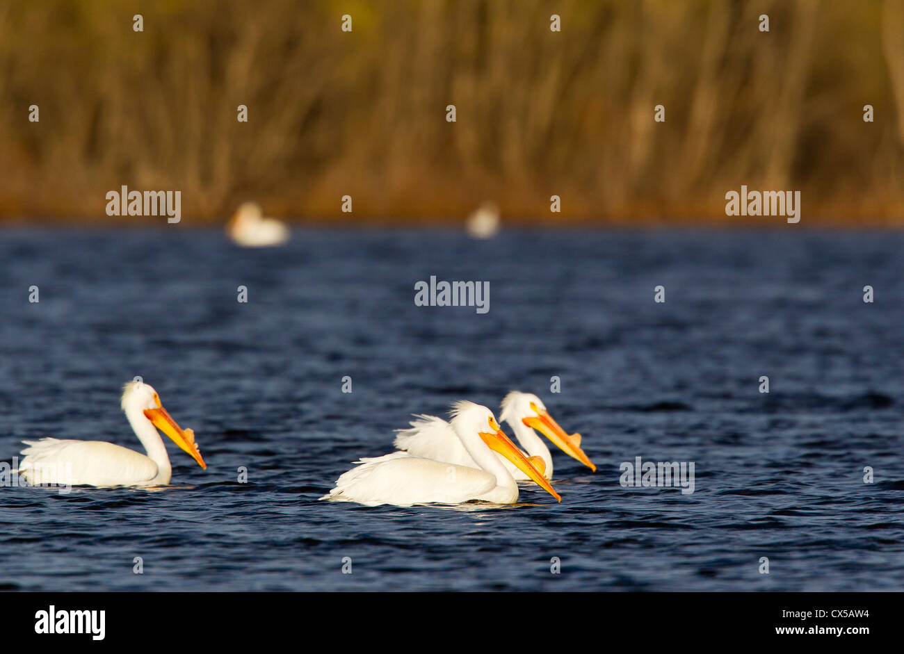 Calamuis reservoir hires stock photography and images Alamy