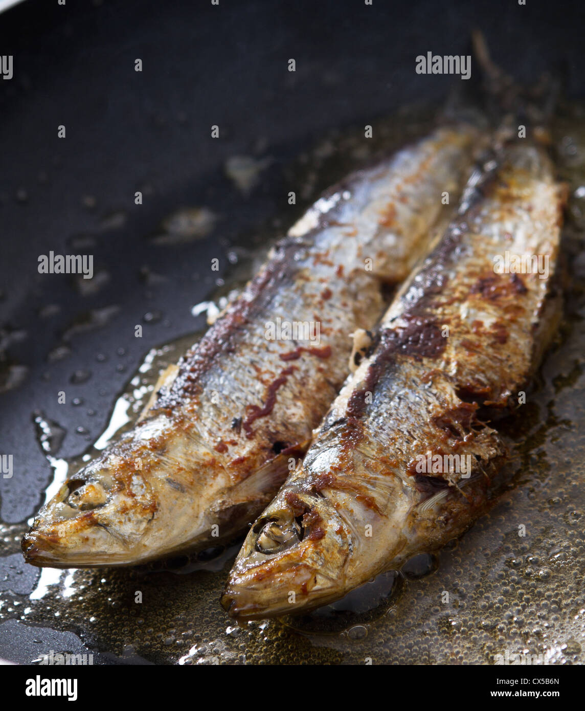 frying sardines in pan Stock Photo Alamy