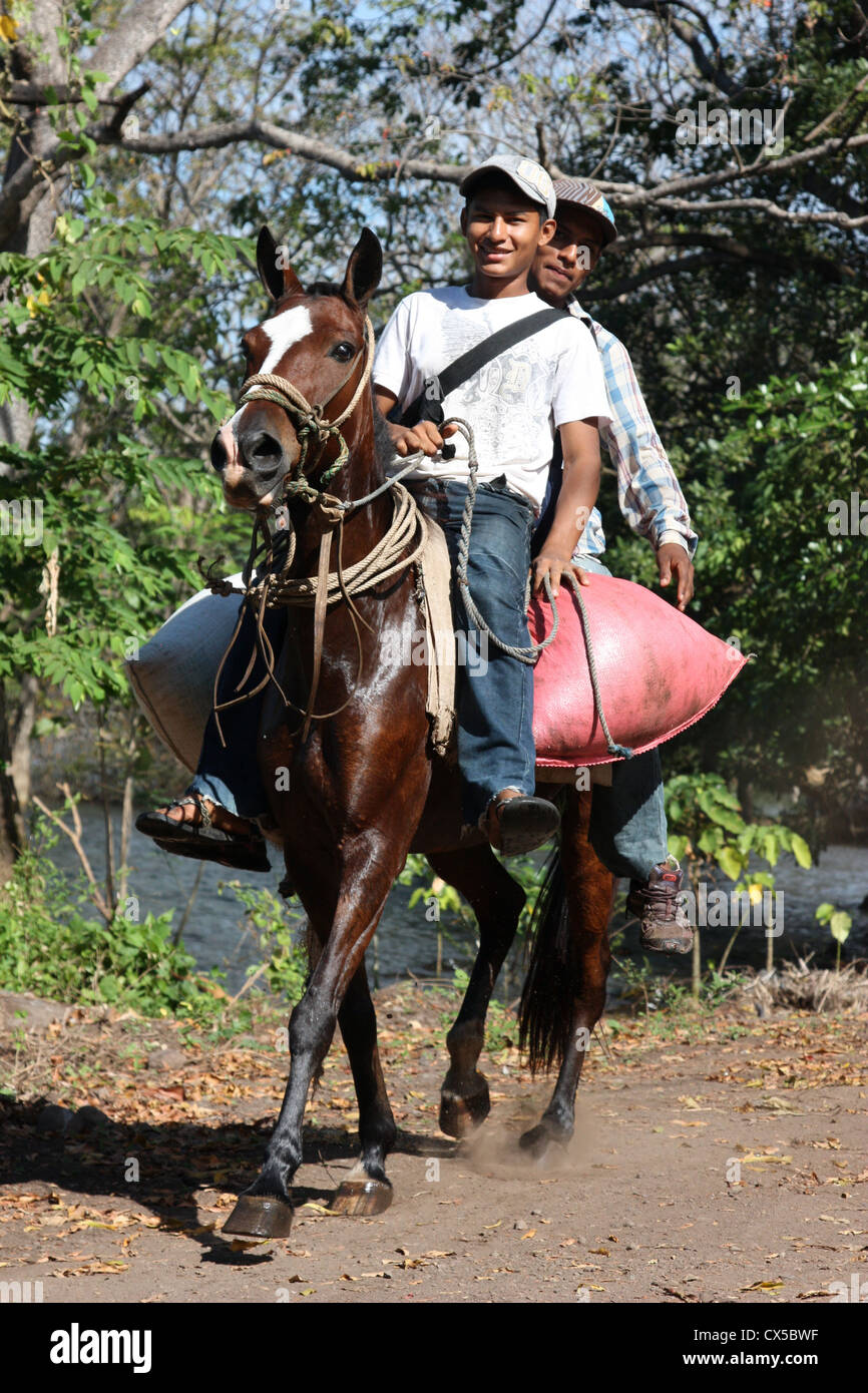 Local farmworkers carrying coffee beans on horseback on the volcanic island of Ometepe in lake Nicaragua, Central America Stock Photo