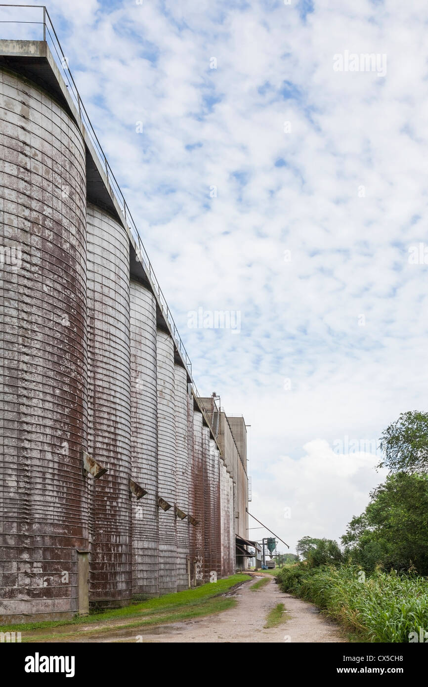 Rice storage silos with grain elevator at rural rice dryer in South ...