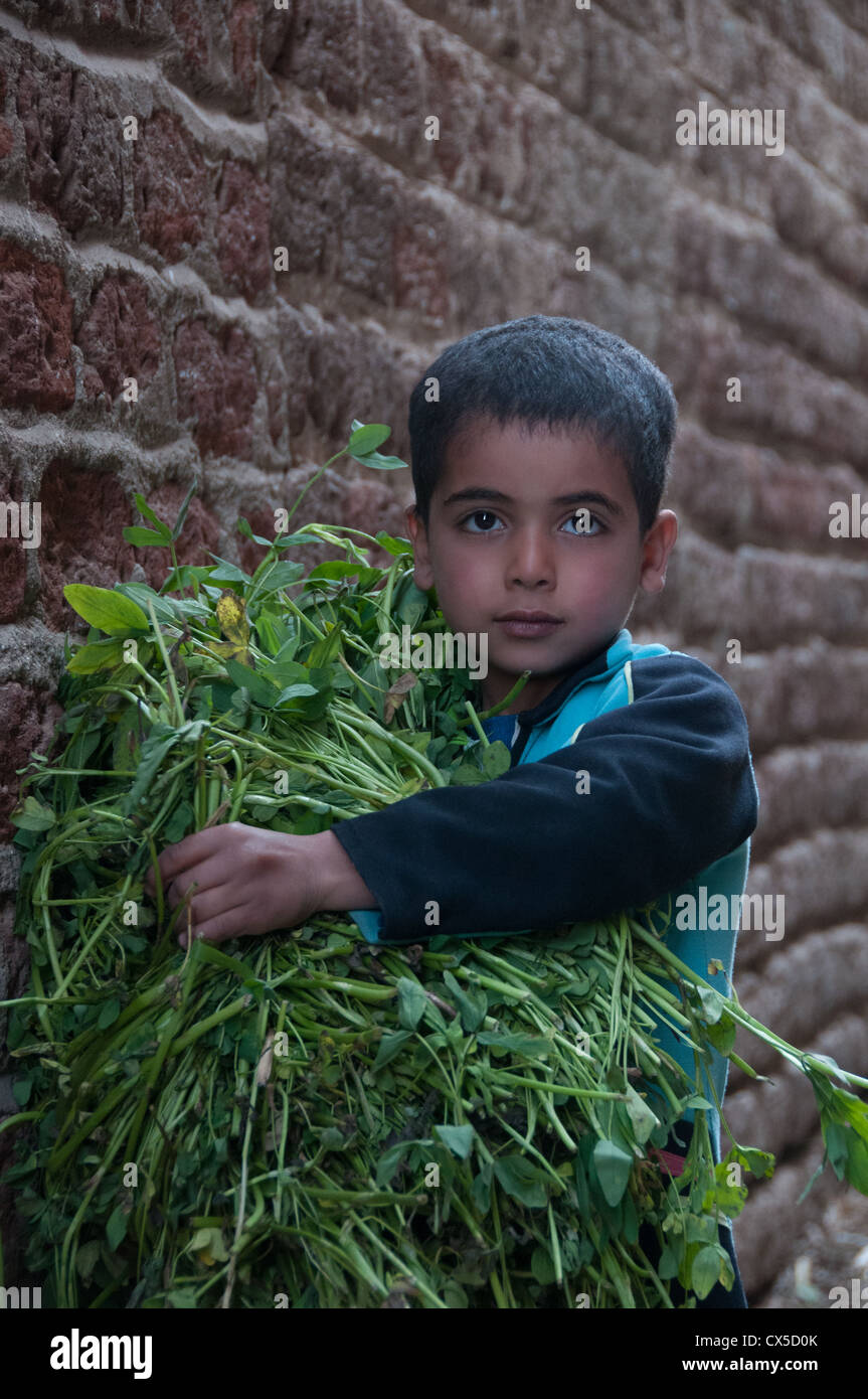 Little Child with crops Asyut Egypt Stock Photo